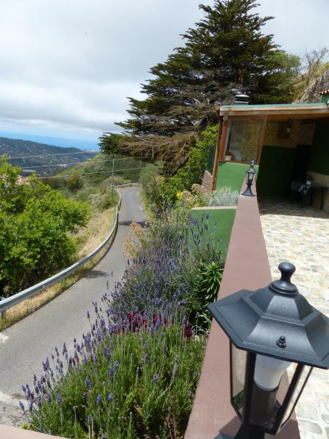 Casa Cueva Paquito Villa Vega de San Mateo Eksteriør billede